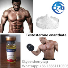 Testosterona Enanthate da hormona esteróide do suplemento ao halterofilismo de Te